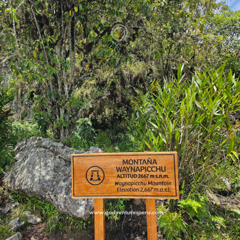huayna picchu